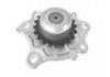 Oil Pump:15100-B0020